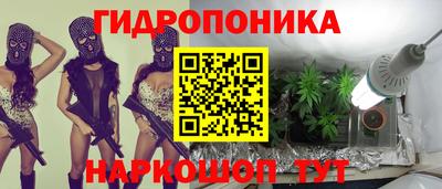кокс Нальчик