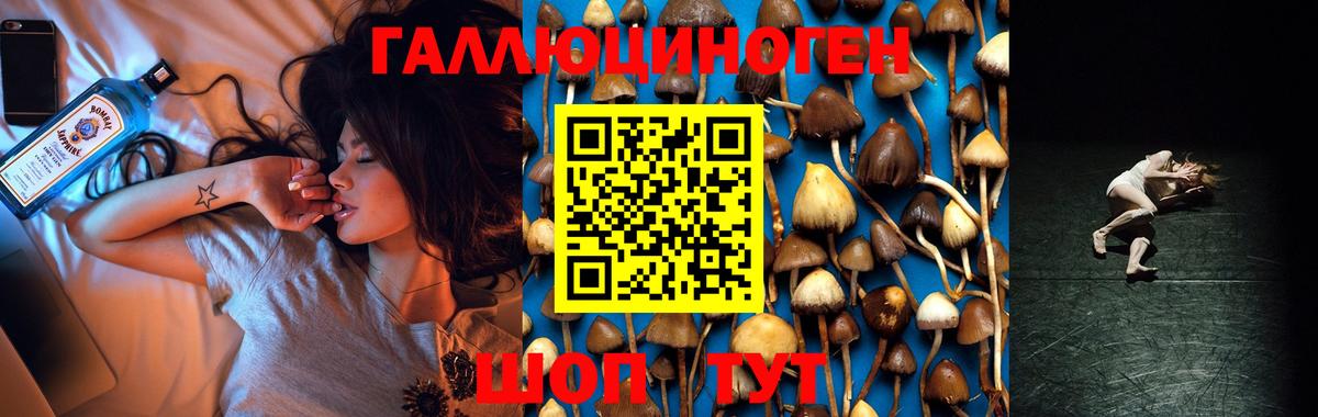 Галлюциногенные грибы GOLDEN TEACHER  Псилоцибиновые грибы GOLDEN TEACHER  Чайковский  Вход с VPN 